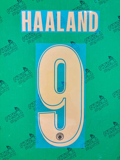MANCHESTER CITY 2026/27 Away Authentic Jersey With Printing With Patch 